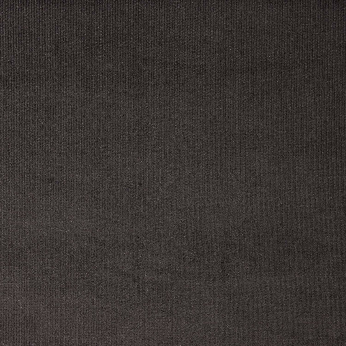 Micro-velours côtelé extensible gris anthracite - Ribes y Casals