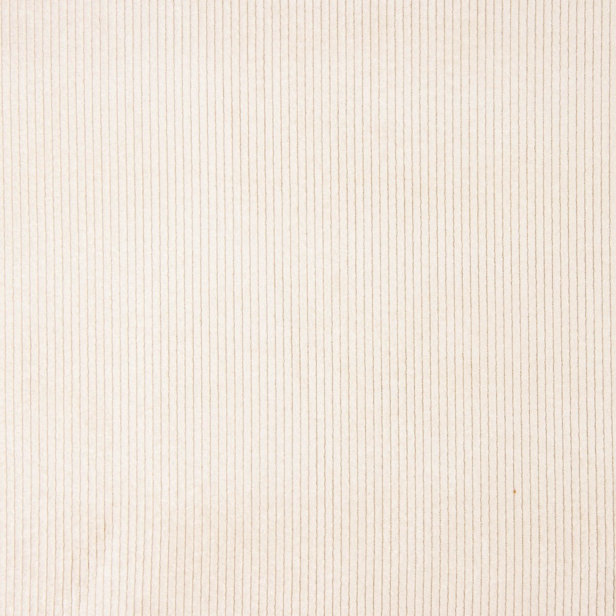 Velours côtelé naturel délavé - Ribes y Casals