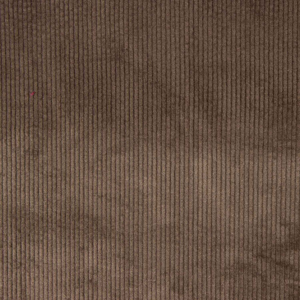 Velours côtelé lavé marron - Ribes y Casals
