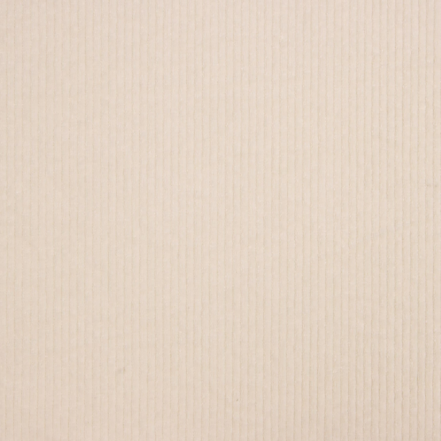 Pana Cordelé Spandex Blanc Naturel - Ribes y Casals