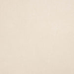 Point Néoprène Daim Blanc Naturel - Ribes y Casals