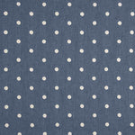 Chambray coton brodé à pois - Ribes y Casals