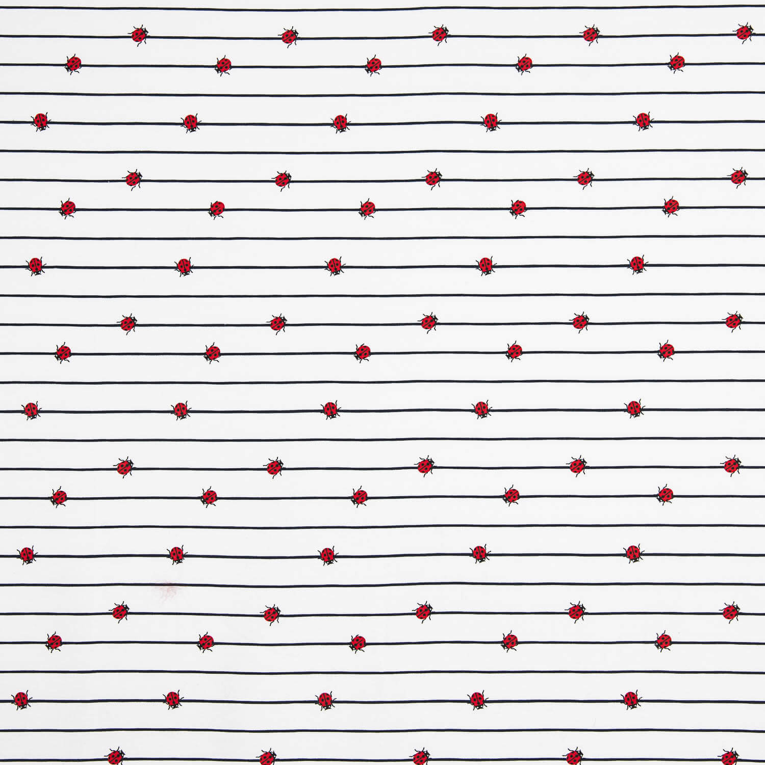 Punto Algodón Ladybug Marine - Ribes y Casals