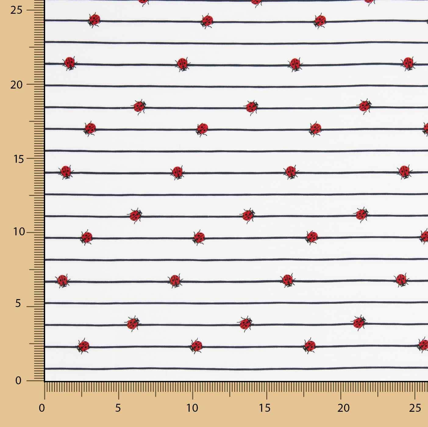 Punto Algodón Ladybug Marine - Ribes y Casals