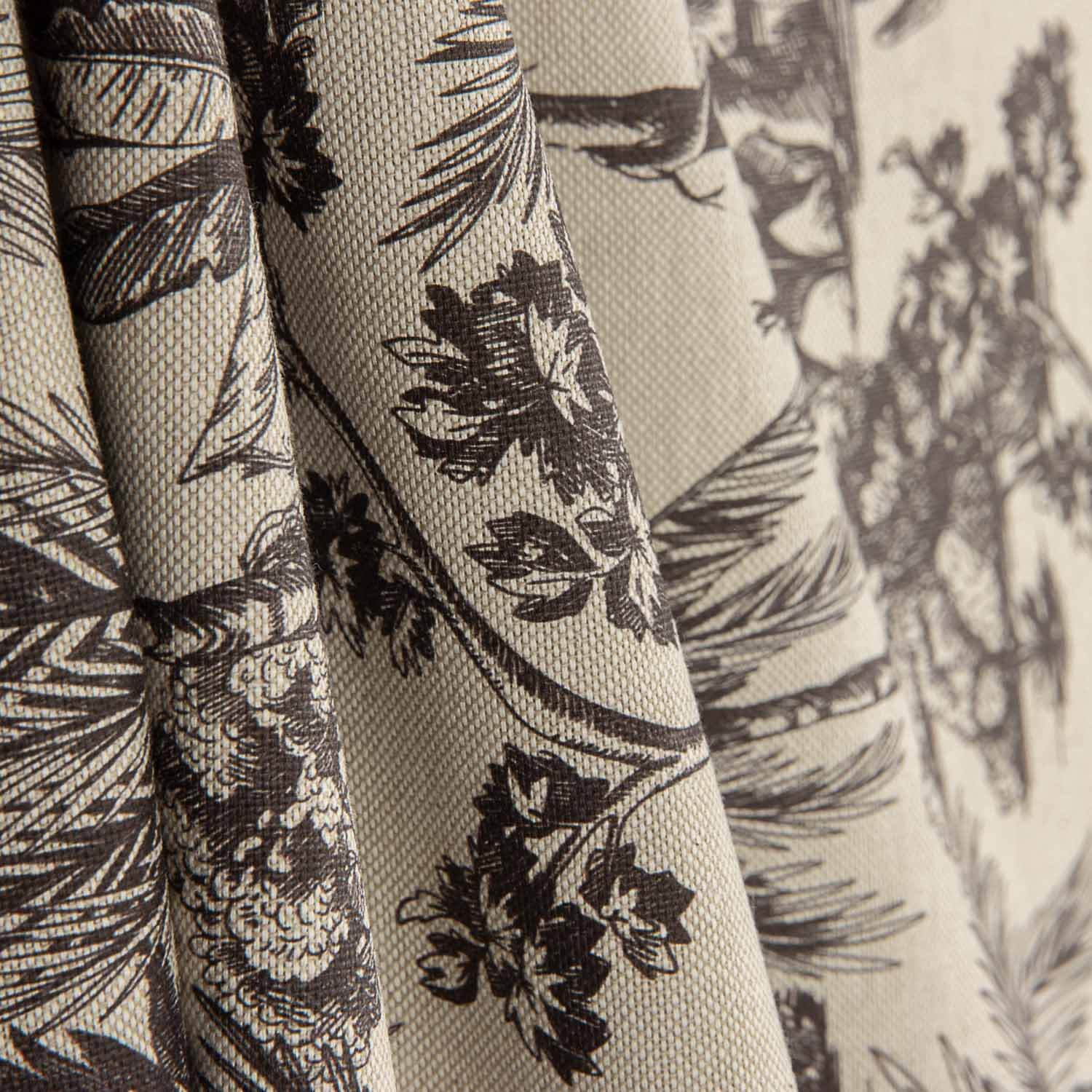 Toile de coton imprimée botanique noire - Ribes y Casals