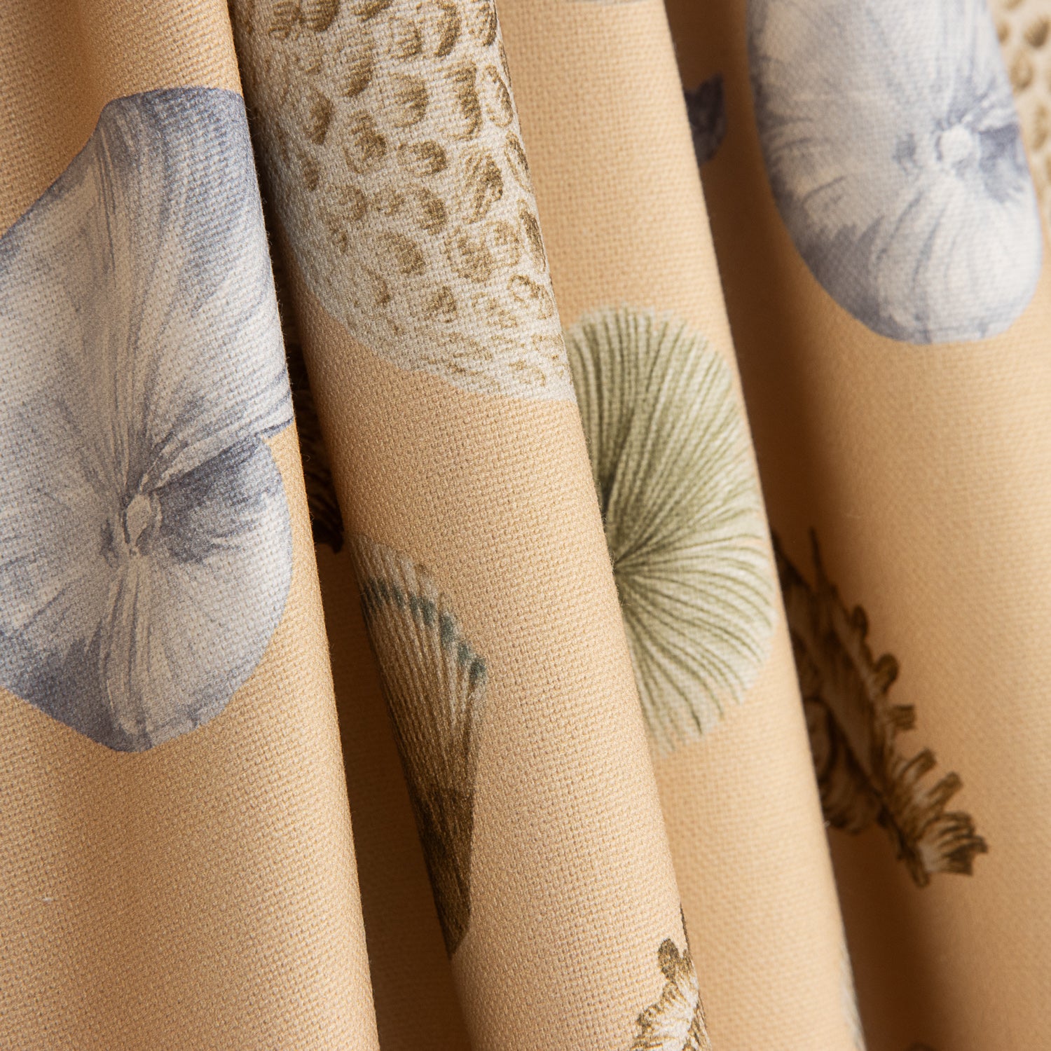 Toile Half Panama Marine Coquillages - Ribes y Casals