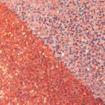 Tulle araignée à sequins rouges - Ribes y Casals