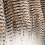 Poil long effet chat sauvage Lynx marron - Ribes y Casals