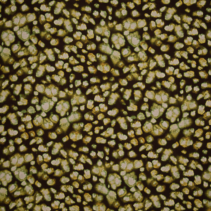 Tissu de viscose imprimé recto-verso, motif mosaïque olive - Ribes y Casals