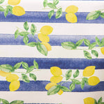 Résinée Anti-taches Citrons Rayures bleues - Ribes y Casals