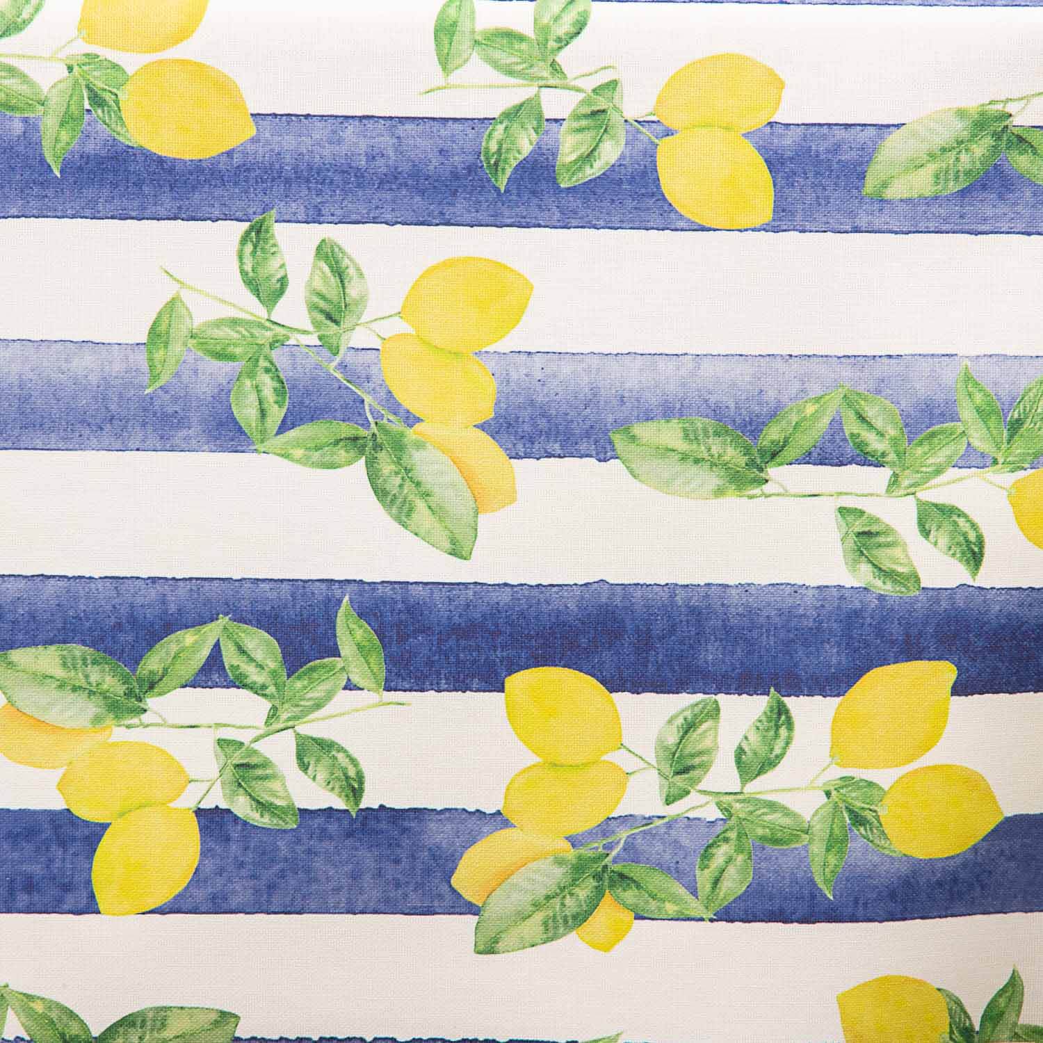 Résinée Anti-taches Citrons Rayures bleues - Ribes y Casals