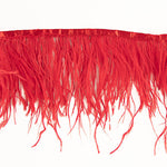 Frange Plume Plus Rouge - Ribes y Casals