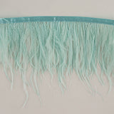 Frange de plumes Plus vert d'eau - Ribes y Casals