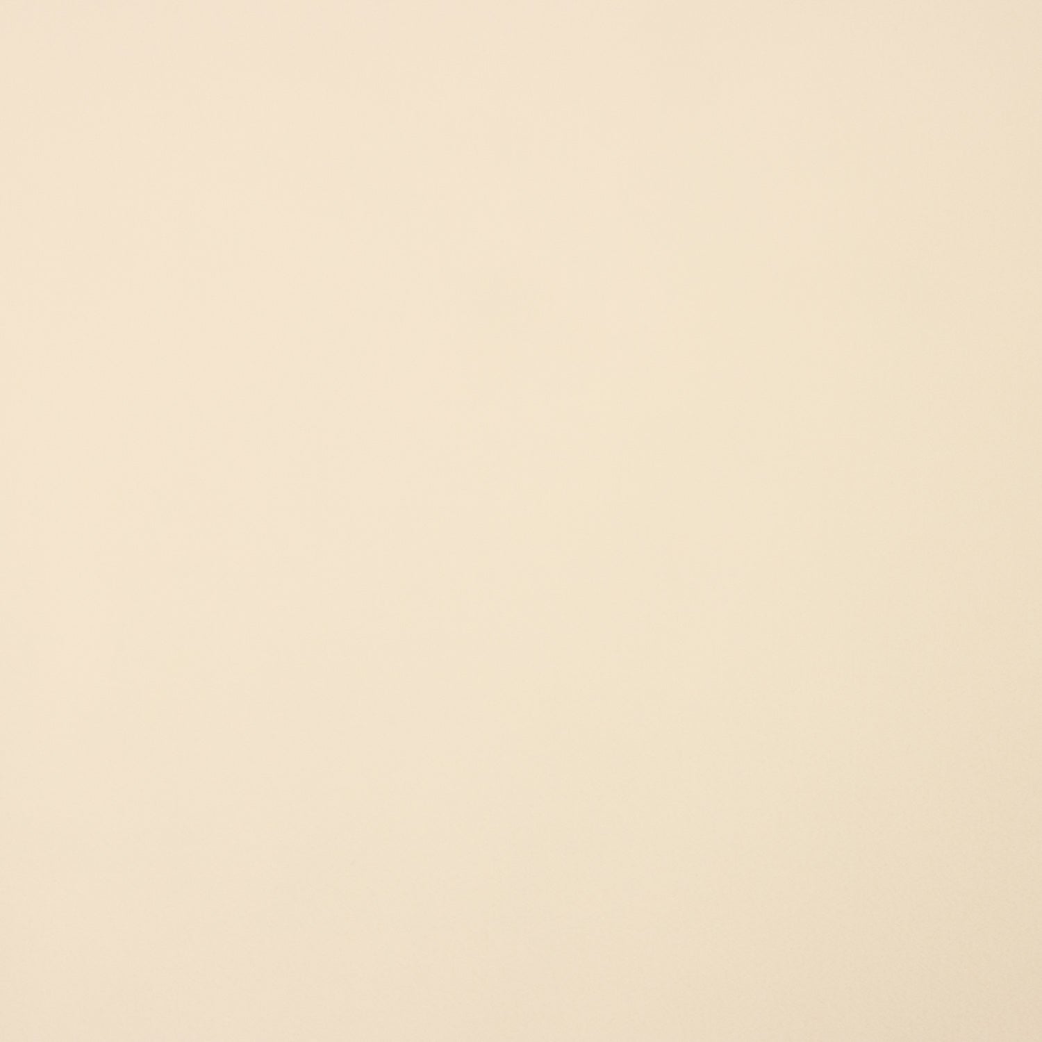 Doublure en polyester élastique beige - Ribes y Casals