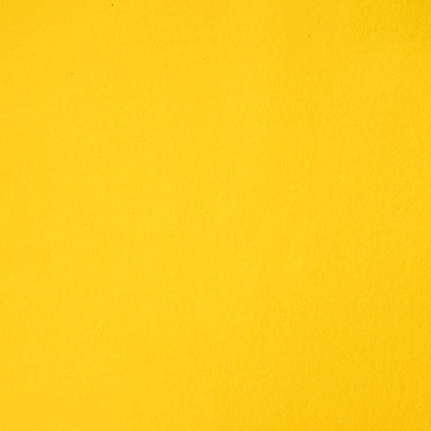 Polaire jaune - Ribes y Casals