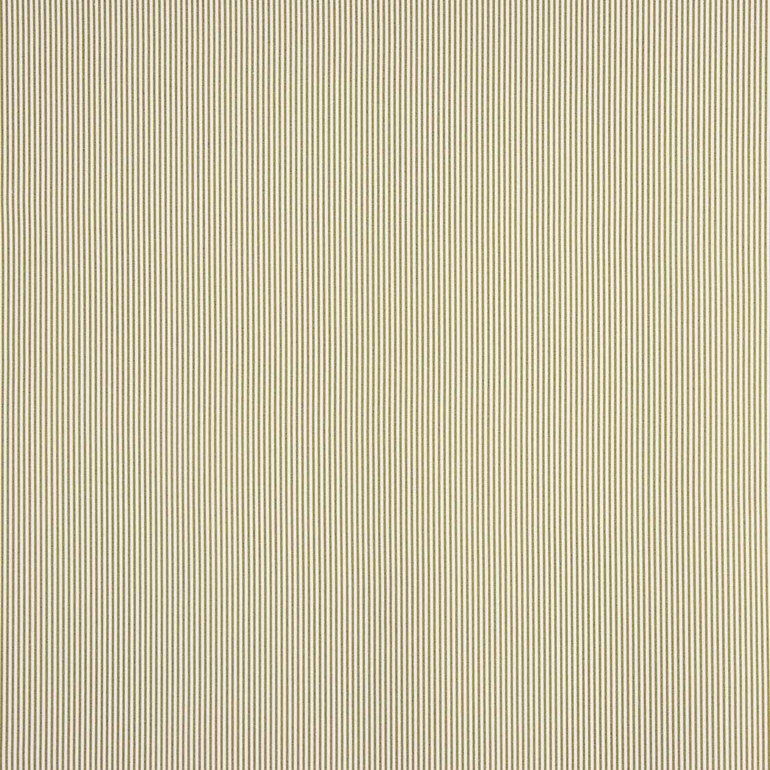 Popeline de coton biologique à rayures vertes et blanches - Ribes y Casals