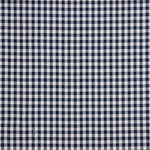 Carreaux Vichy Basic Bleu marine Moyen 60 - Ribes y Casals