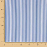 Rayures bleues Mini 20 - Ribes y Casals