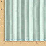 Rayures vertes Mini 2mm - Ribes y Casals