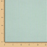 Rayures vertes Mini 2mm - Ribes y Casals