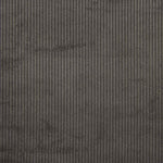 Velours côtelé Anthracite - Ribes y Casals