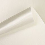 Tissu Foamé Satinette Argent - Ribes y Casals