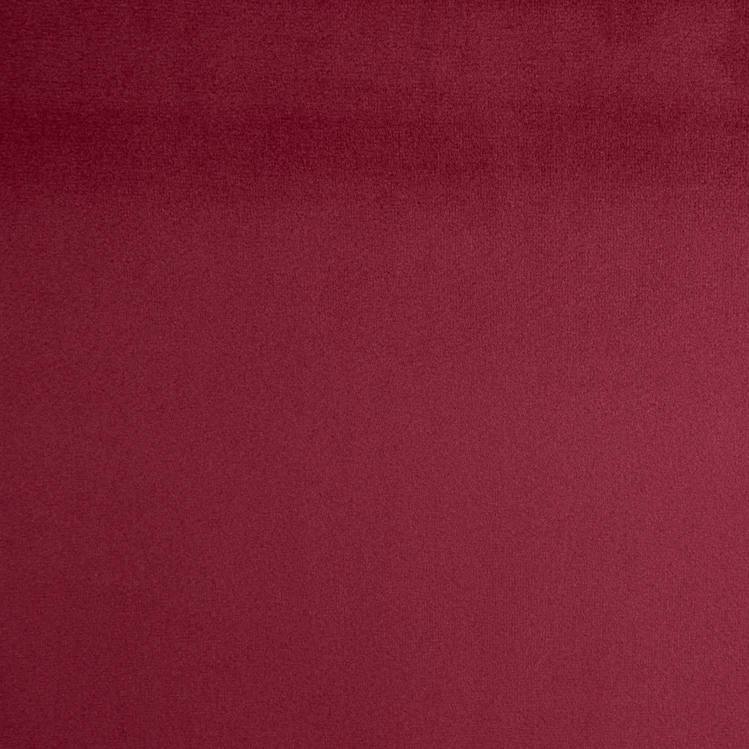 Daim pour Tapisserie et Ameublement Marron - Ribes y Casals