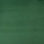 Tapisserie d'ameublement anti-taches Vert - Ribes y Casals