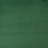 Tapisserie d'ameublement anti-taches Vert - Ribes y Casals