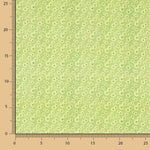 Popeline de coton imprimé Supima 09 - Ribes y Casals