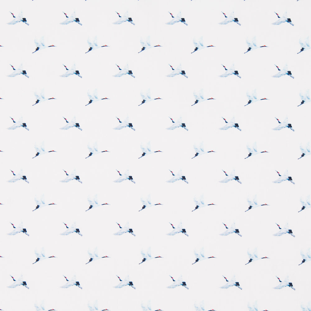 Coton Antibactérien Oiseaux - Ribes y Casals