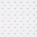 Coton Antibactérien Oiseaux - Ribes y Casals