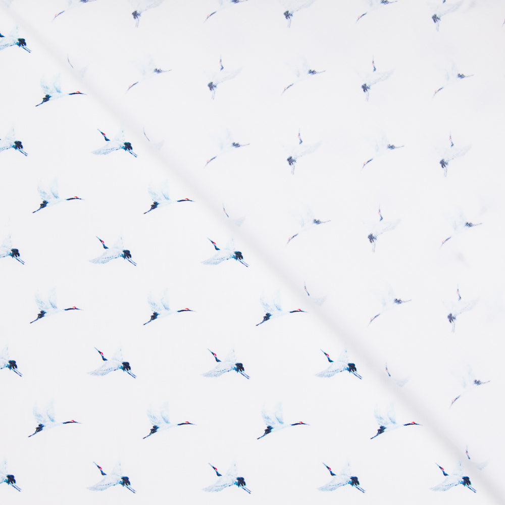 Coton Antibactérien Oiseaux - Ribes y Casals