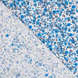 Coton Fleurs Bleu - Ribes y Casals