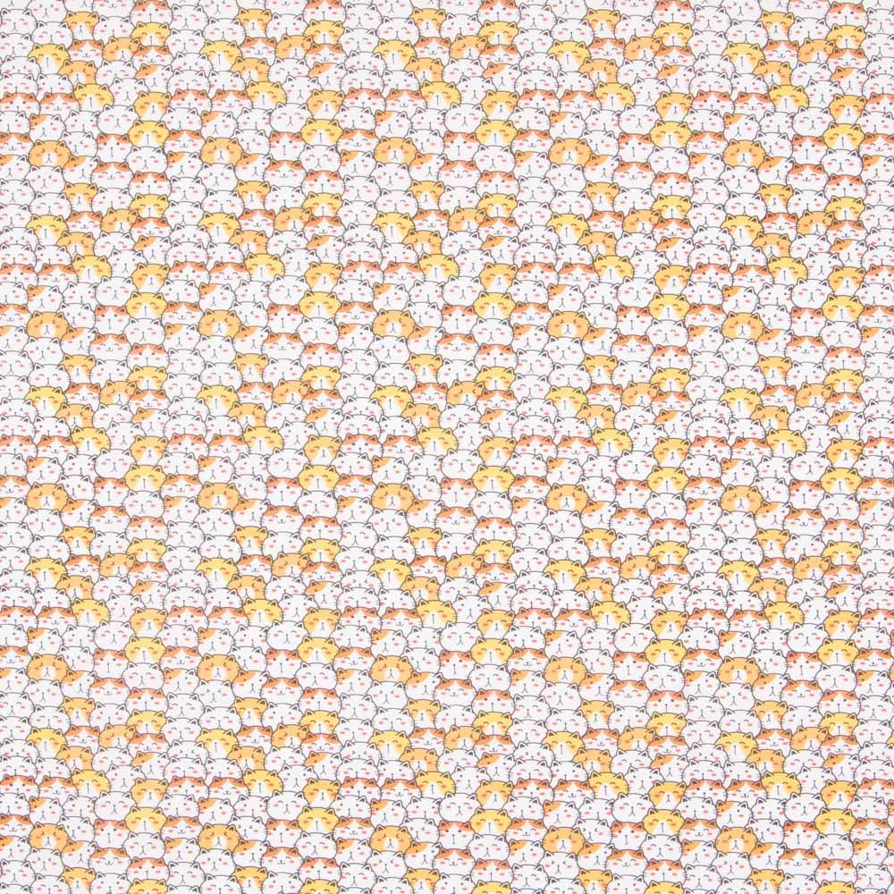 Coton Chat de la Chance - Ribes y Casals