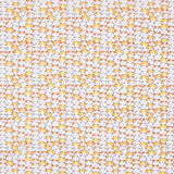 Coton Chat de la Chance - Ribes y Casals