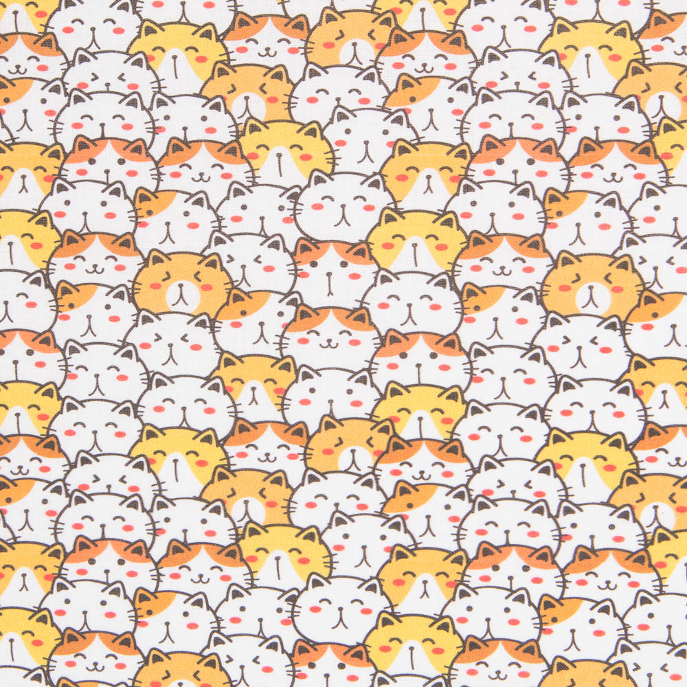 Coton Chat de la Chance - Ribes y Casals