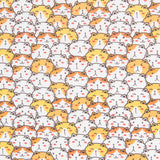 Coton Chat de la Chance - Ribes y Casals