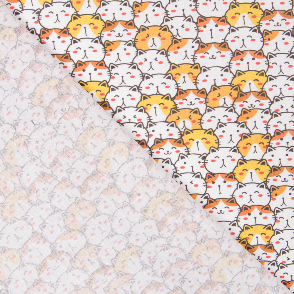 Coton Chat de la Chance - Ribes y Casals