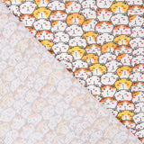 Coton Chat de la Chance - Ribes y Casals