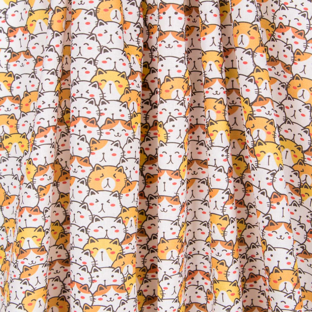 Coton Chat de la Chance - Ribes y Casals