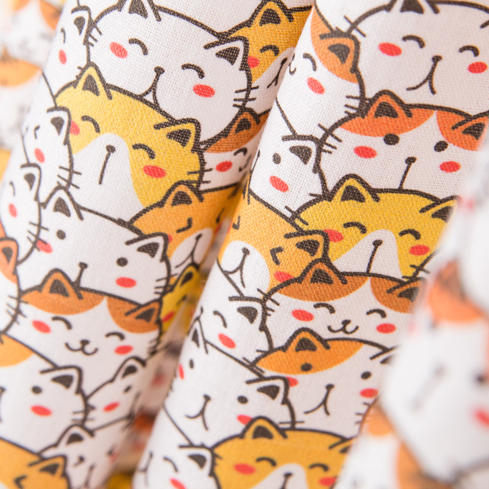 Coton Chat de la Chance - Ribes y Casals