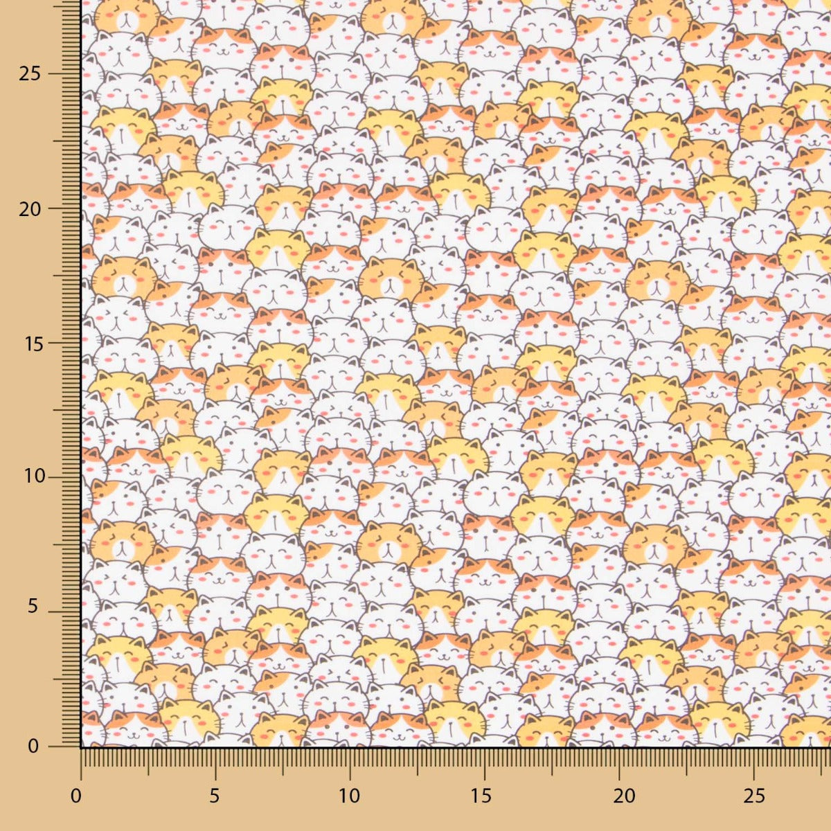 Coton Chat de la Chance - Ribes y Casals