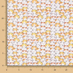 Coton Chat de la Chance - Ribes y Casals