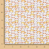 Coton Chat de la Chance - Ribes y Casals