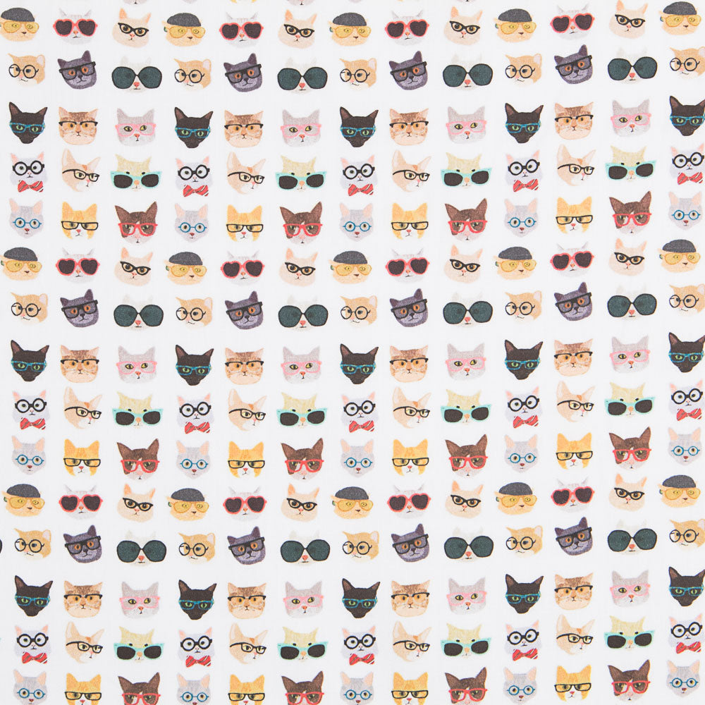 Coton Chats Hipster - Ribes y Casals