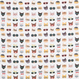 Coton Chats Hipster - Ribes y Casals