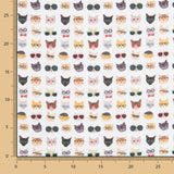 Coton Chats Hipster - Ribes y Casals