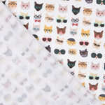 Coton Chats Hipster - Ribes y Casals