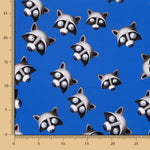 Popeline Coton Ratonlaveur Bleu - Ribes y Casals